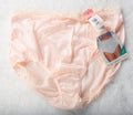 Warner's Vintage Silky Shiny Soft Satin Brief Panties 5 S Nude Full Back NEW