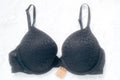 Pink Wear Everywhere Push-up Bra Black Cheetah Leopard 34C NEW