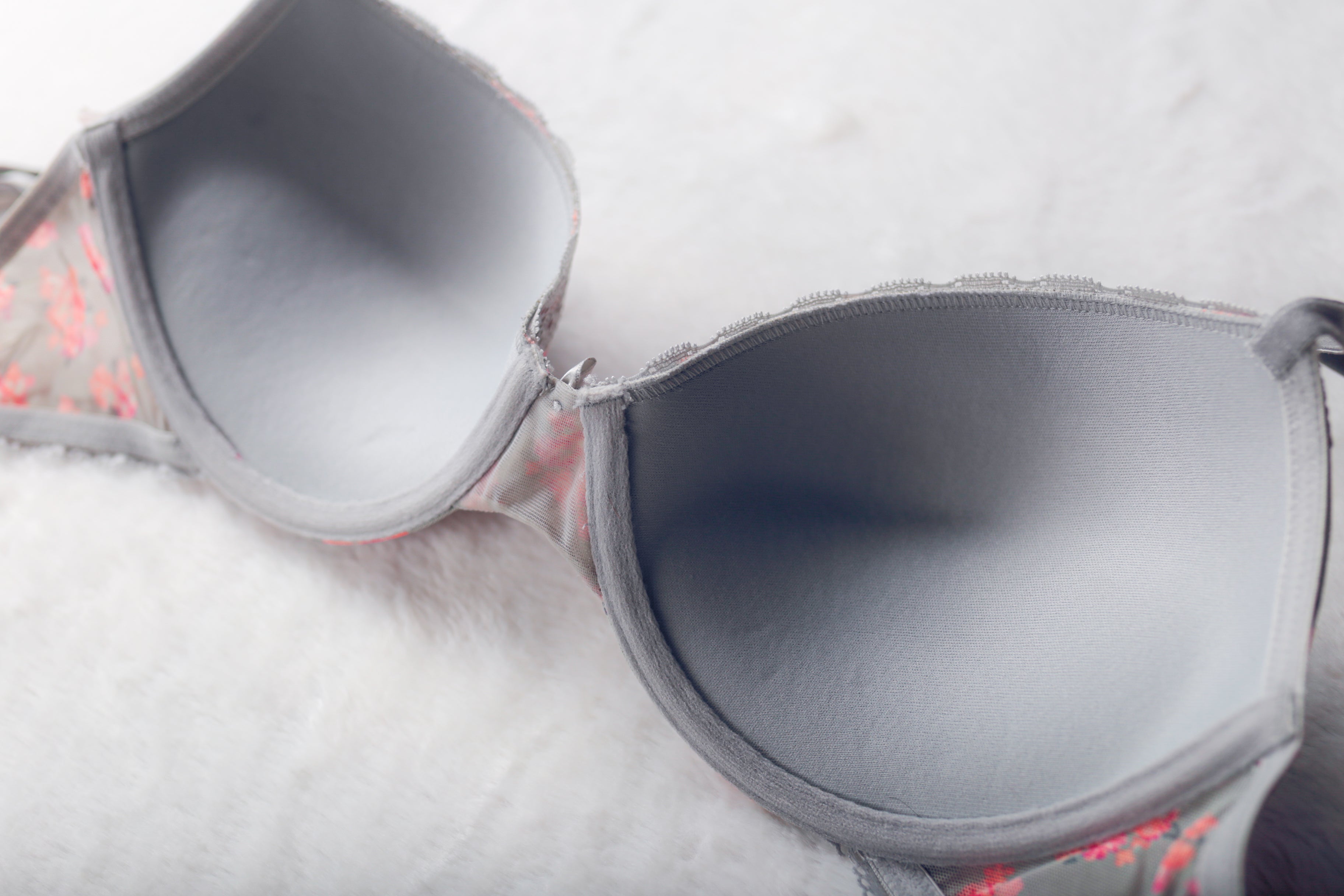 Candie's 36C Floral Push-up Padded Molded Underwire Cottage Bra NEW