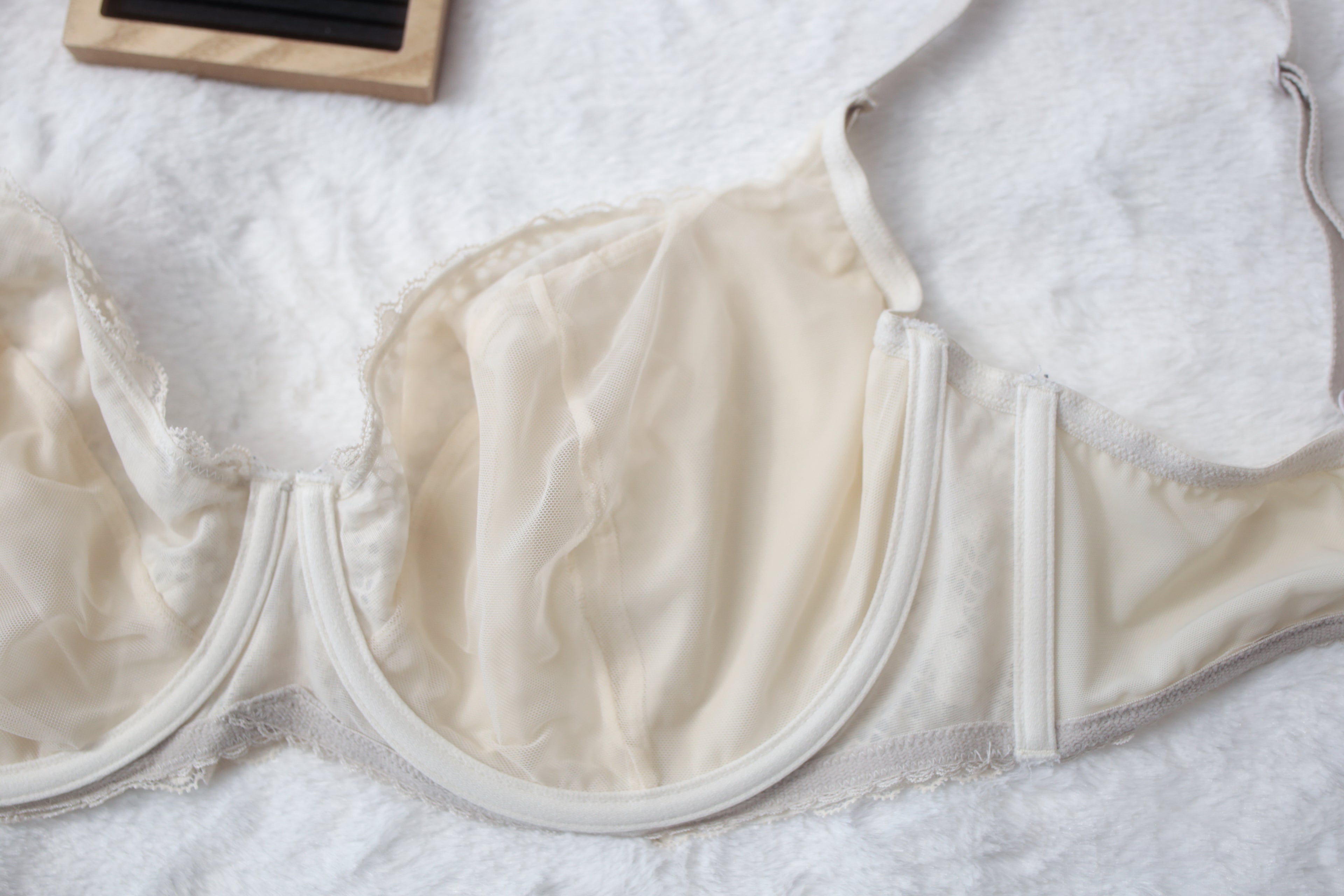 Adore Me 38G Semi-sheer Seamed Underwire Bra Ivory