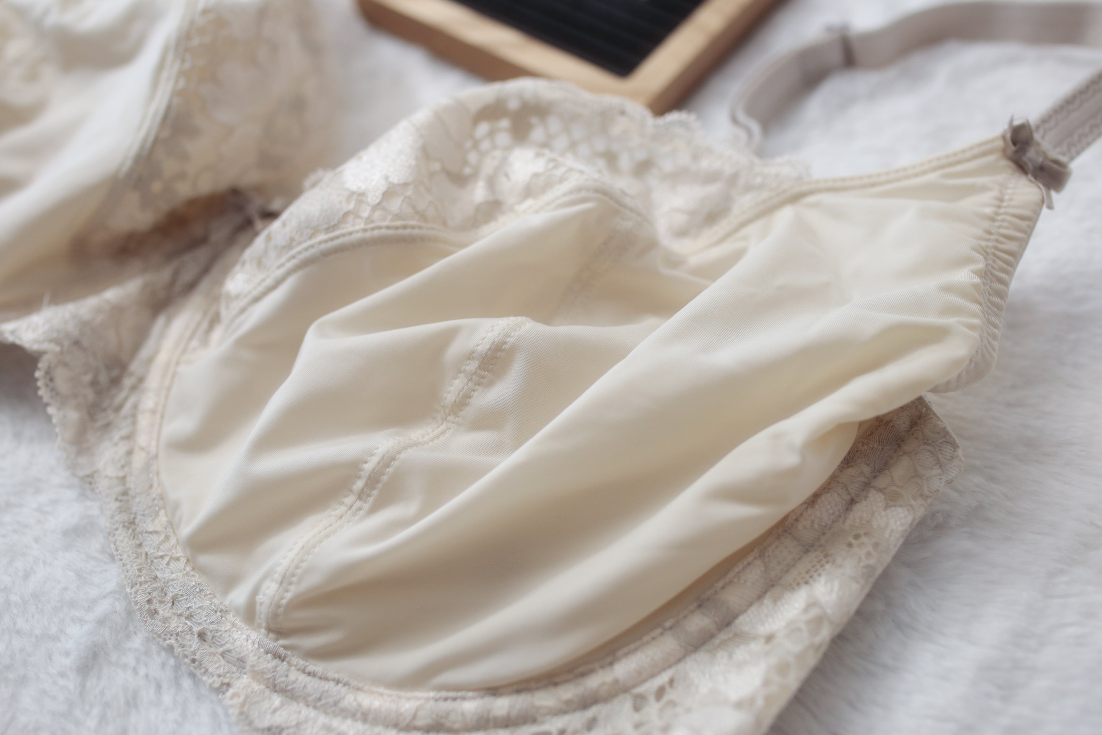 Adore Me 38G Semi-sheer Seamed Underwire Bra Ivory