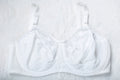 Bali Vintage 0180 Flower Retro Unlined Satin Lace Bullet Bra White 40DD