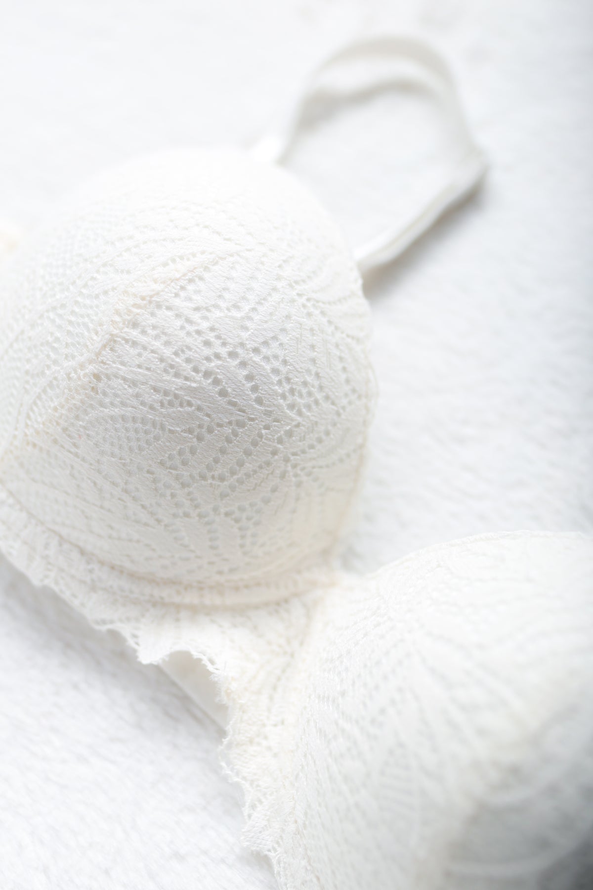 Wild Dream Padded Push-up Underwire T-shirt Bra White 34B