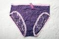 Adore Me Purple Sheer Lace French Cut Panties Medium NEW