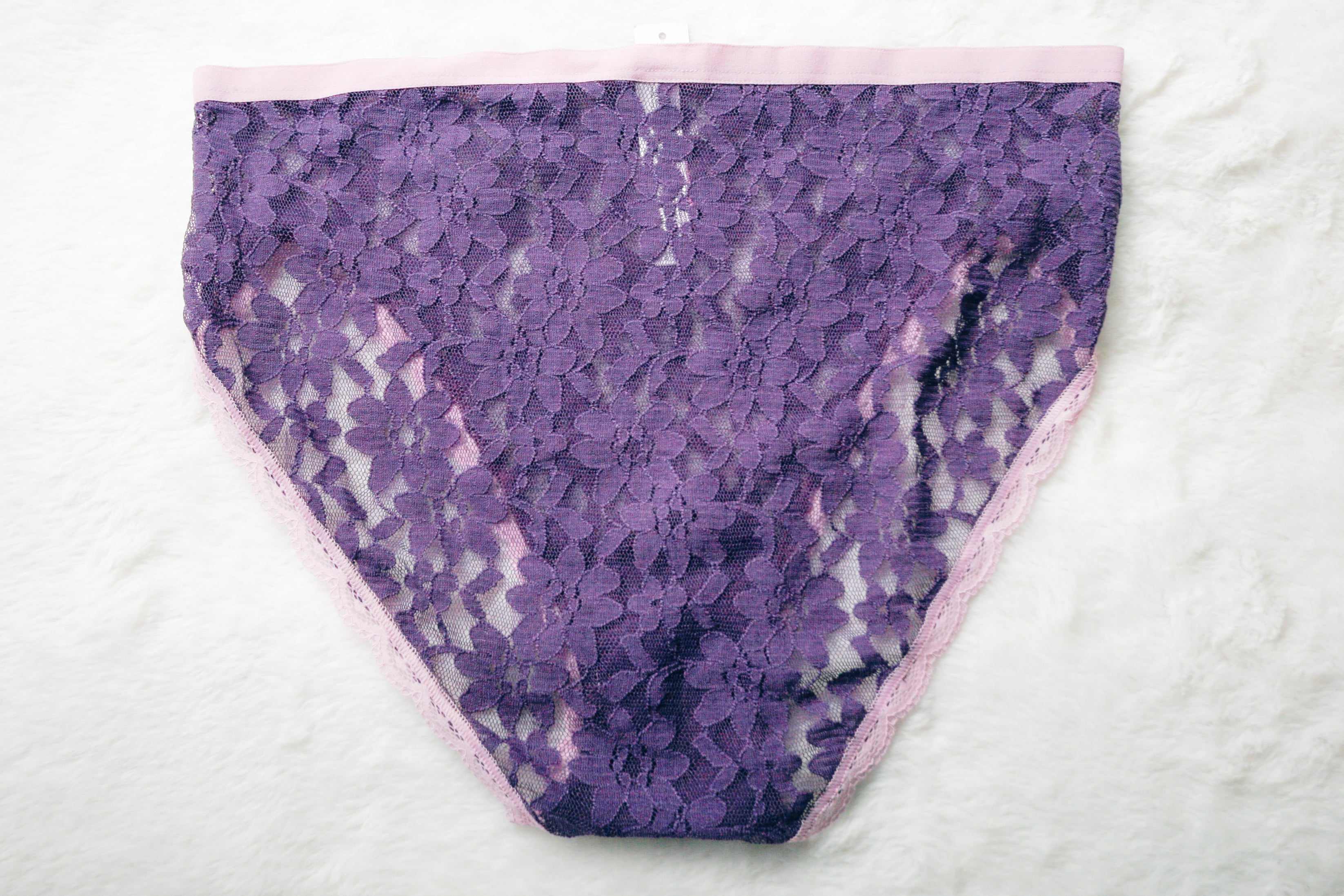 Adore Me Purple Sheer Lace French Cut Panties Medium NEW