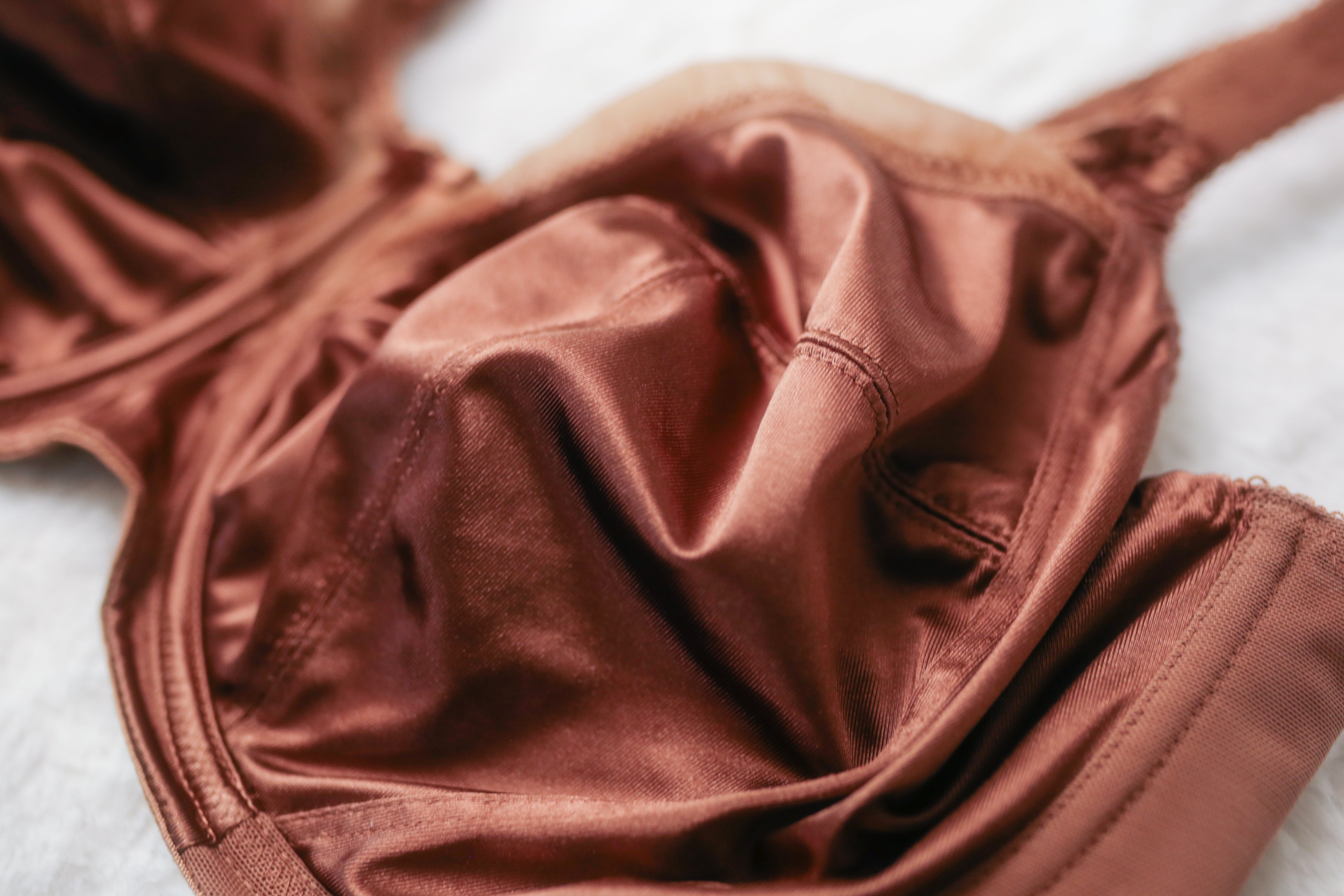 Goddess 40H 46FF GD6090 Keira Banded Full Figure Underwire Bra Brown