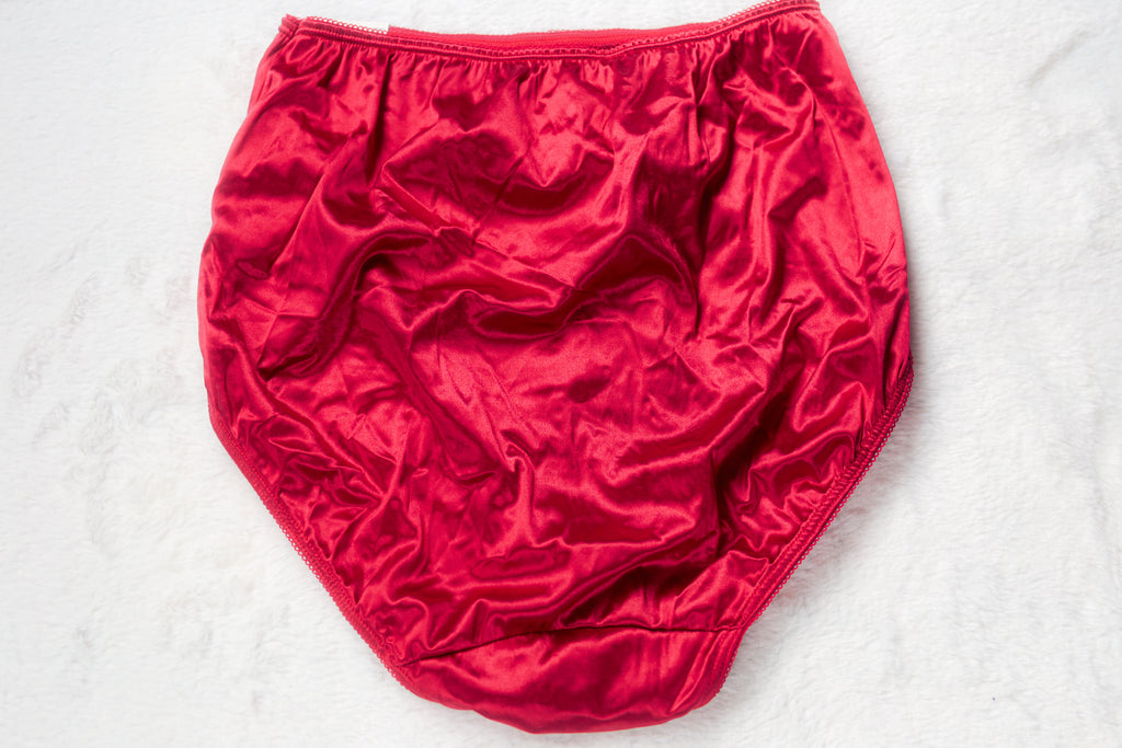 Lane Bryant Intimates Vintage Silky Satin High Rise Full Back Brief Panties Red 14/16 1X XL NEW