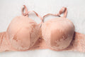 Torrid Curve 48C Push Up Plunge Molded Cage Strap Floral Satin Bra Pink NEW