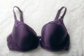 Fantasie 32DD Ava Underwire Molded Plunge Balcony T-shirt Bra Purple