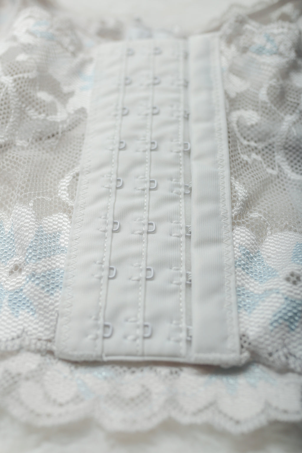 Dreamgirl Sheer Unlined Floral Lace Boned Bustier Corset Bra Large