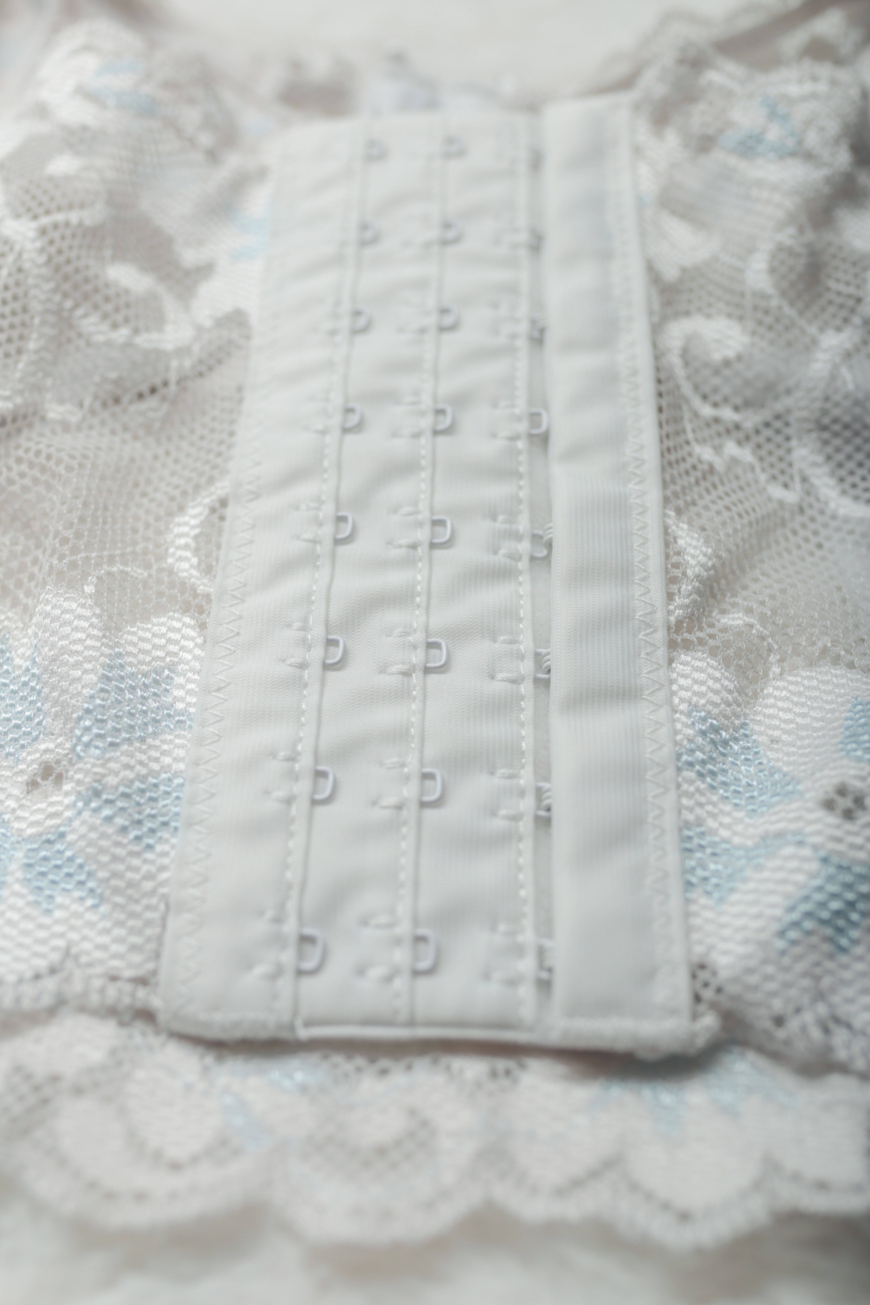 Dreamgirl Sheer Unlined Floral Lace Boned Bustier Corset Bra Large