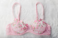 Pink Fairy Floral Embroidered Sheer Mesh Sexy Underwire Bra Large