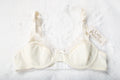 Lady Princess Vintage 80s Retro Glam Sheer Panel Underwire Bra Ivory 34B NEW