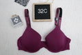 Victoria's Secret 32C T-shirt Lightly Lined Demi Shine Strap Bra Purple Wine NEW