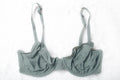 Aerie Unlined Breathable Sheer Mesh Demi T-shirt Bra Green 32D